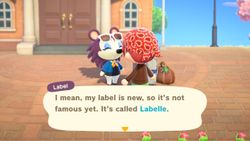 How to be a fashionista with Label in Animal Crossing: New Horizons