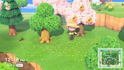 In Animal Crossing: New Horizons money really does grow on trees!