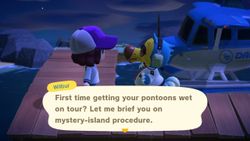 All the ACNH Mystery Islands that you can explore with Nook Miles Tickets
