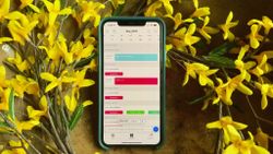 Get back on task with these Wunderlist alternatives for iPhone and Mac