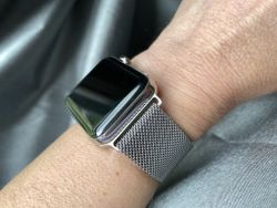 Don't spend a fortune on the Milanese loop — get the look for less!