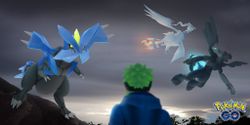 How to take on Reshiram in Pokémon Go