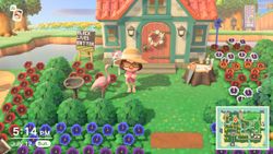 Animal Crossing: New Horizons Summer Shell guide