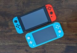 The Nintendo Switch Lite can play local co-op with standard Switch consoles