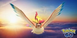 How to take on Mega Pidgeot in Pokémon Go