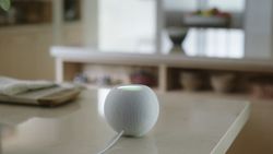 HomePod mini or Nest Mini? Here's our smart speaker showdown!
