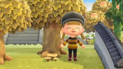 Animal Crossing: New Horizons mushroom guide — All Mushroom DIY recipes and how to gather the most fungi
