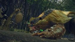 Monster Hunter Rise for Nintendo Switch: How to slay Arzuros