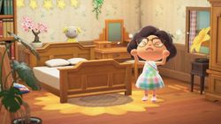 You can't use the Animal Crossing DLC offline via Nintendo Switch Online
