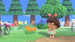 It's safer to buy the Animal Crossing: New Horizons DLC separately than with the Nintendo Switch Online Expansion Pack