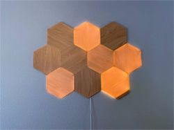Review: Nanoleaf's Elements bring a touch of nature to the smart home