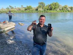 Dive team rescues 'alarming' iPhone after 3 days at the bottom of a river