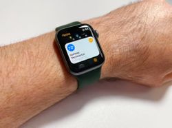 Control your HomeKit accessories right on your Apple Watch — here's how!