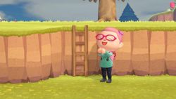 Animal Crossing: New Horizons — How to make a wooden ladder set-up kit