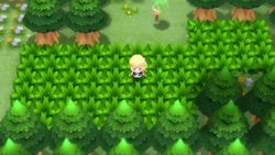 Pokémon BDSP: How to revert to a previous save if you get stuck