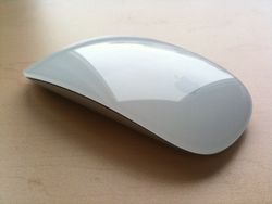 Ninja Tip: How to Use an Apple Multi-touch Magic Mouse with Windows