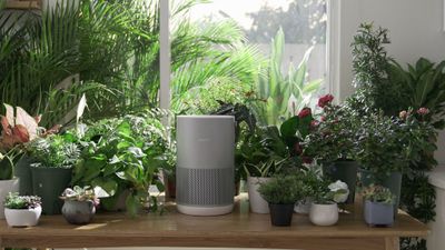 Clean and monitor your home's air with the best HomeKit air purifiers