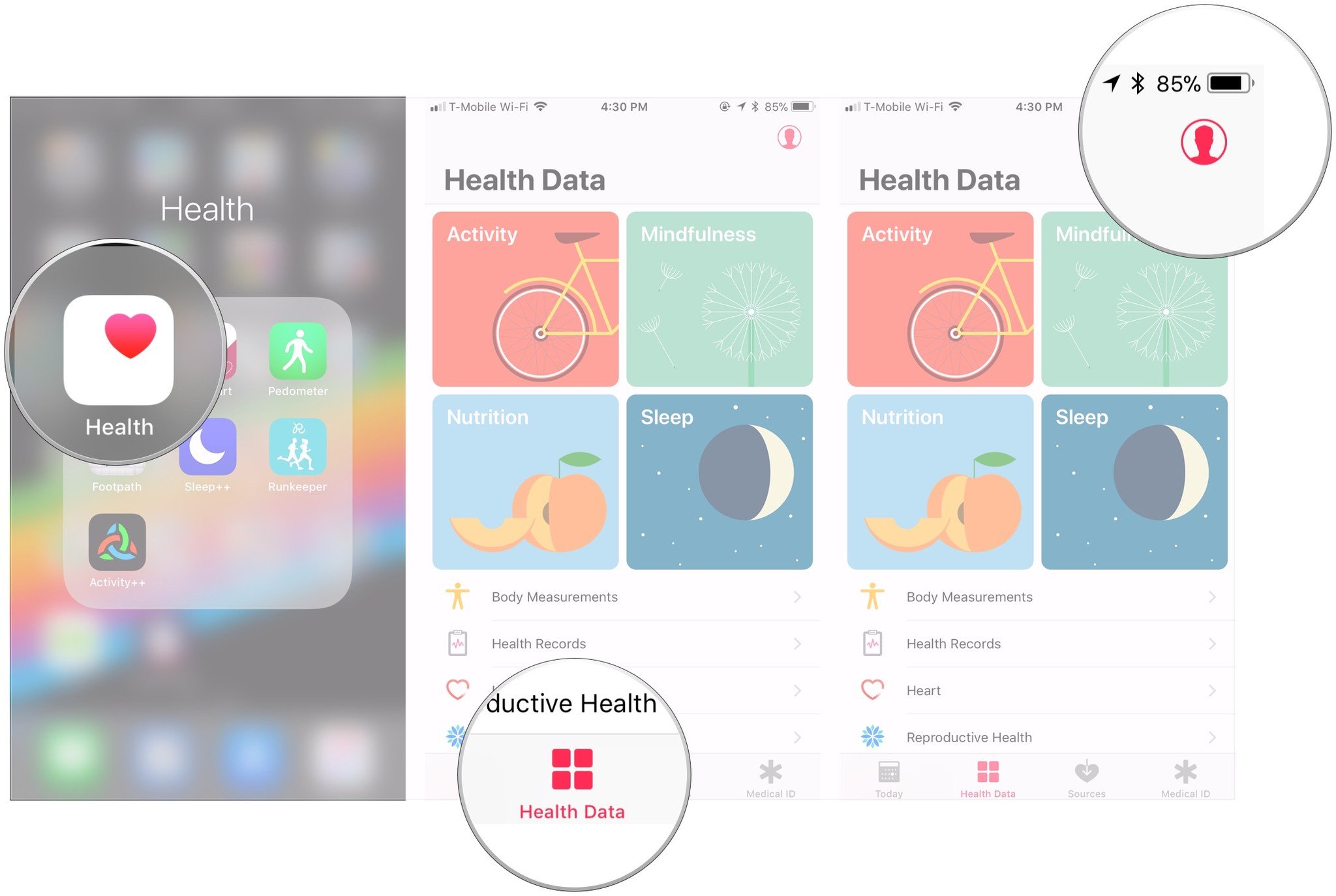 Open Health, tap on Health Data, tap user icon
