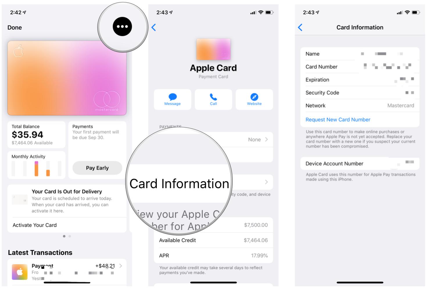 Apple Card, Card Information