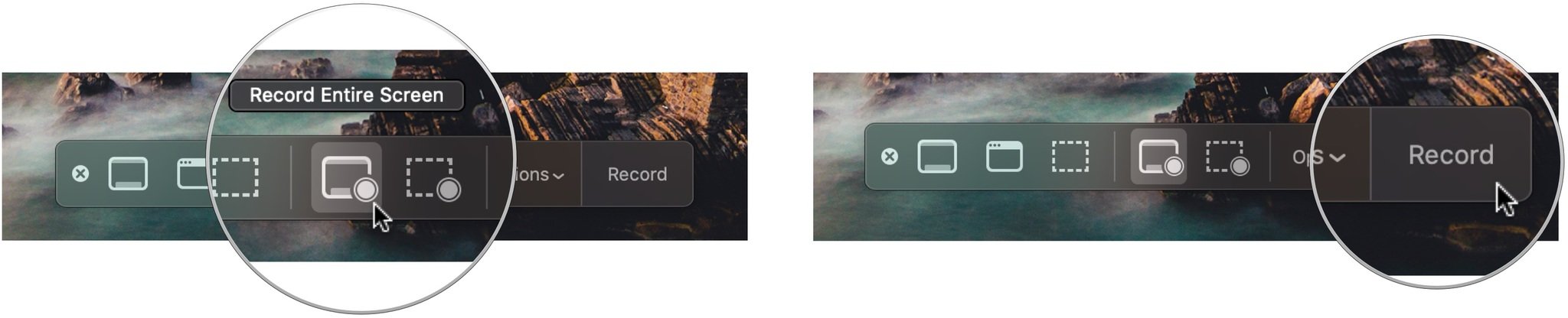 Record a FaceTime call on Mac, showing how to click Record Entire Screen or Record Selected Portion, then click Record