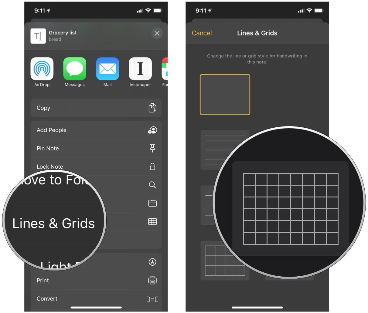 Access Lines and Grids from Action Extensions in an existing note in Notes on iPhone and iPad by showing steps: Tap Lines & Grids, then select the style you want
