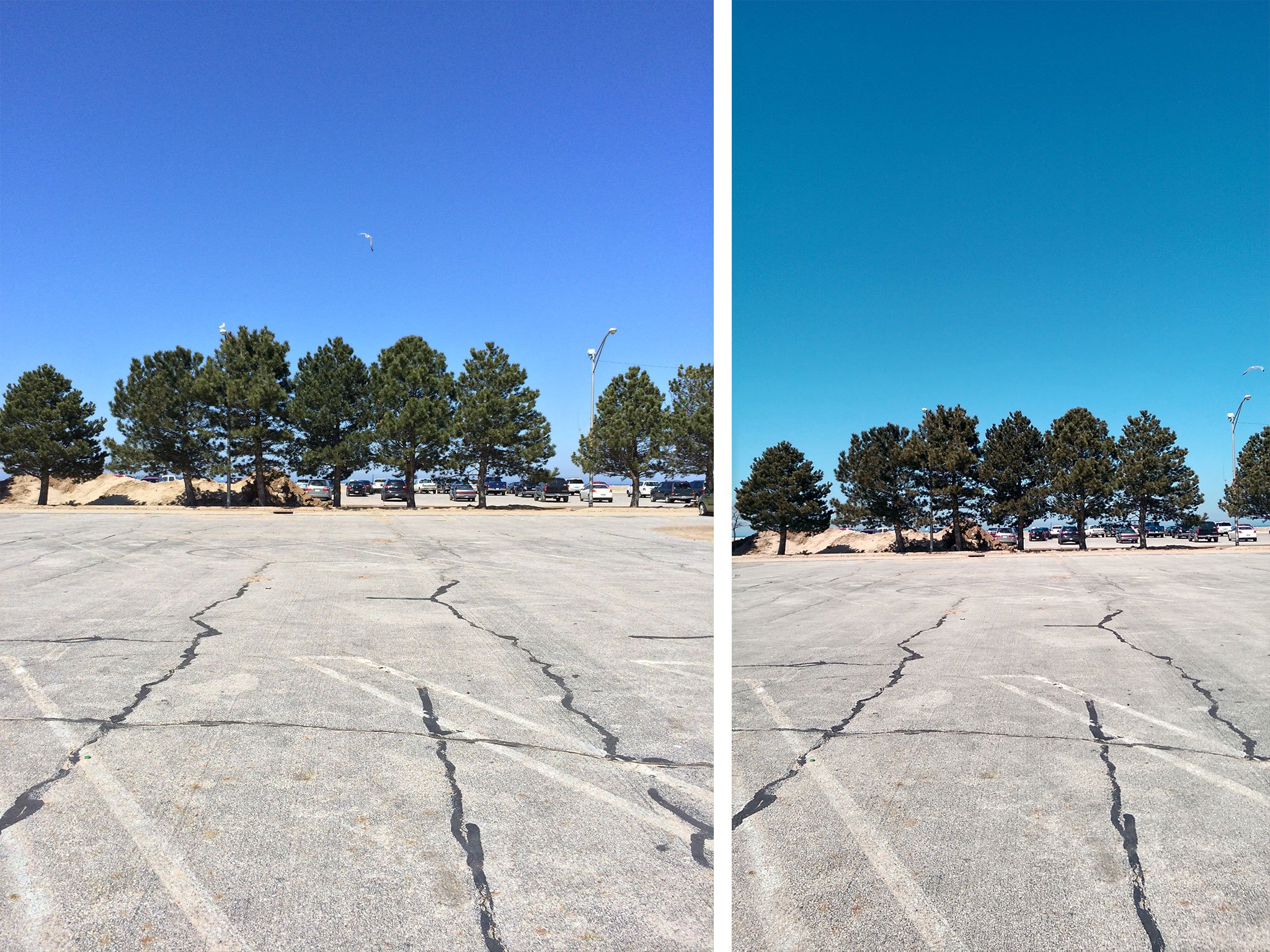 HTC One M8 vs. iPhone 5s: HDR