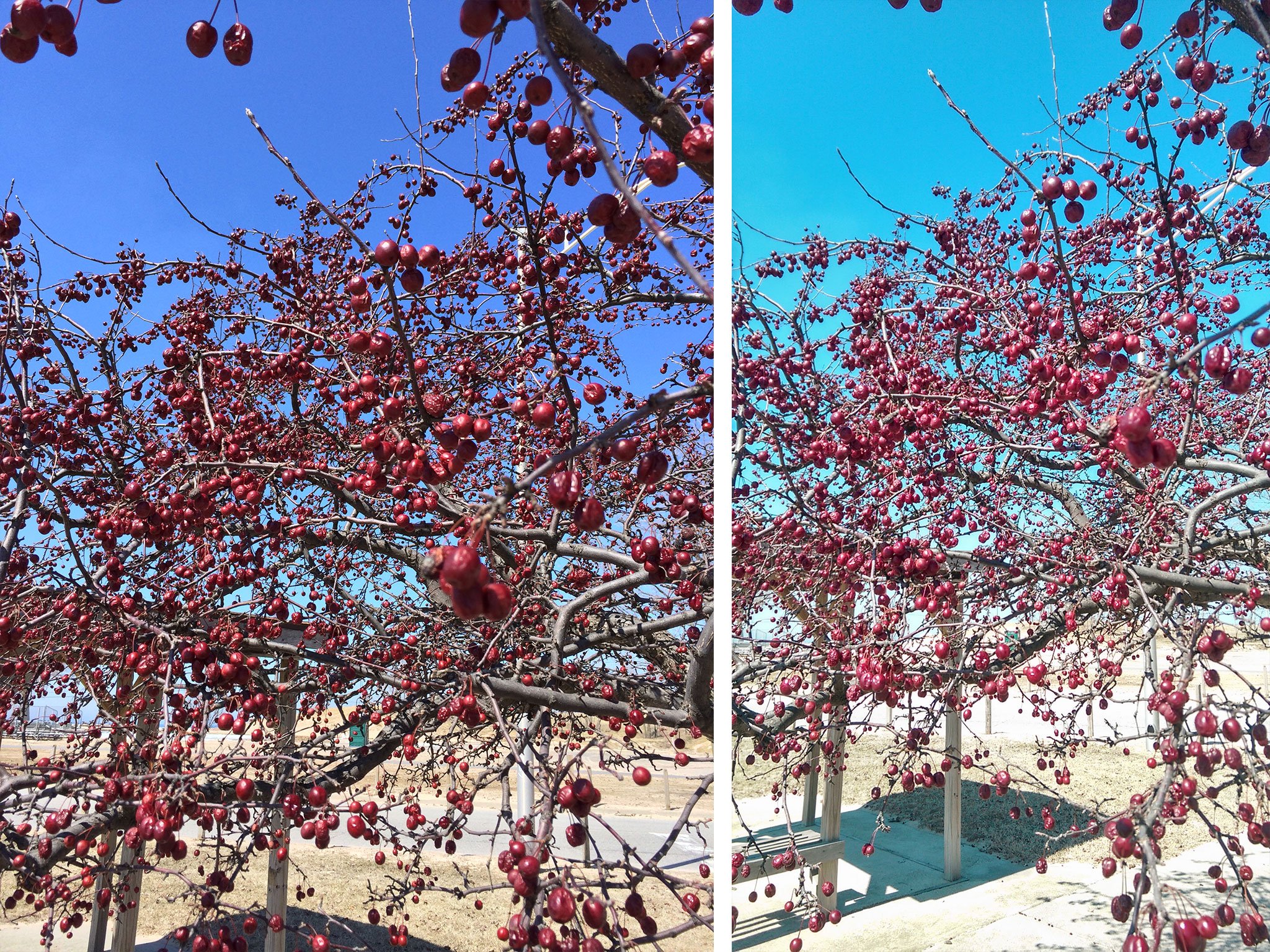 HTC One M8 vs. iPhone 5s: HDR
