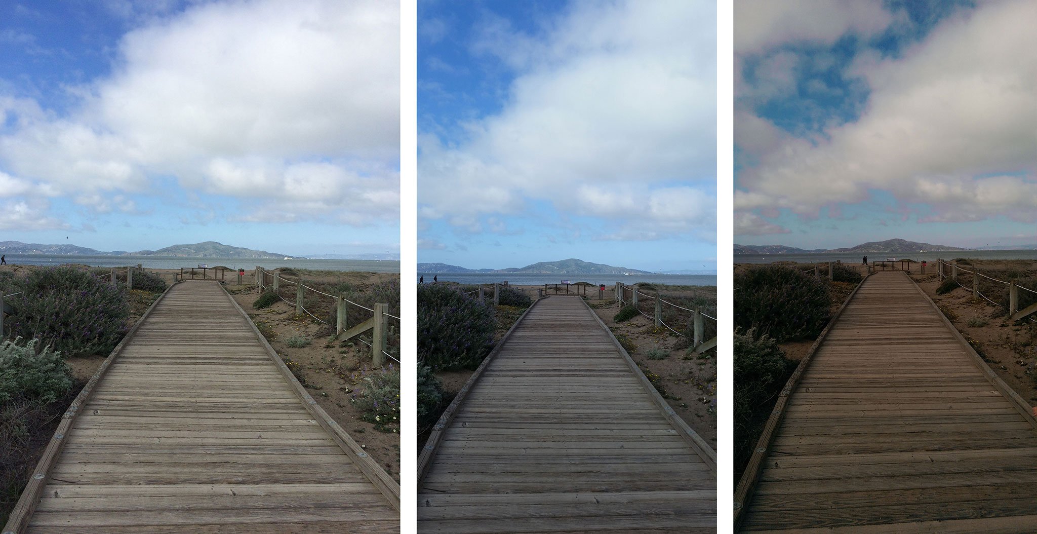 iPhone 5s vs. Galaxy S5 vs. HTC One M8: Everyday and HDR photography