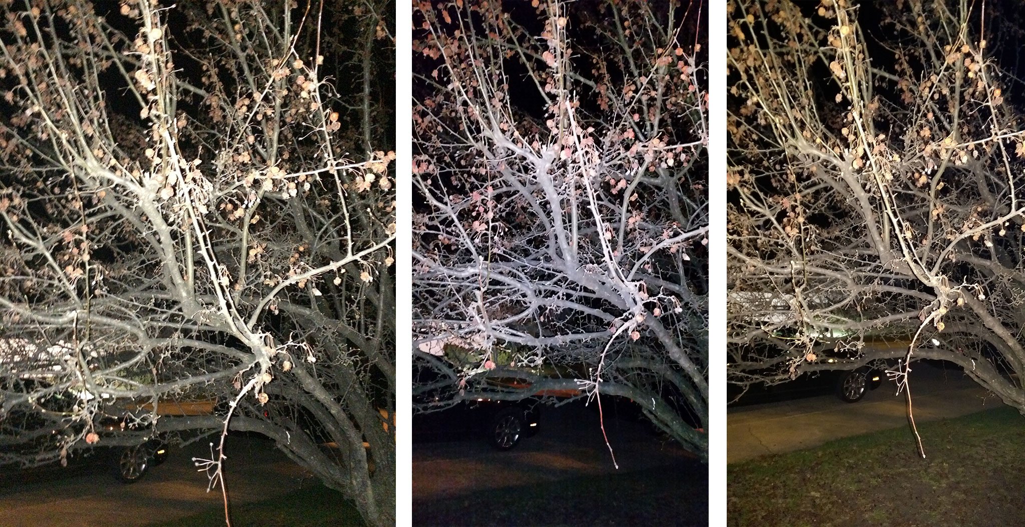 iPhone 5s vs. Galaxy S5 vs. HTC One M8: Flash photography