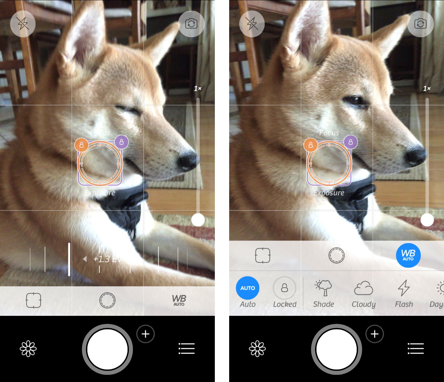 Best camera apps for iPhone: Camera+