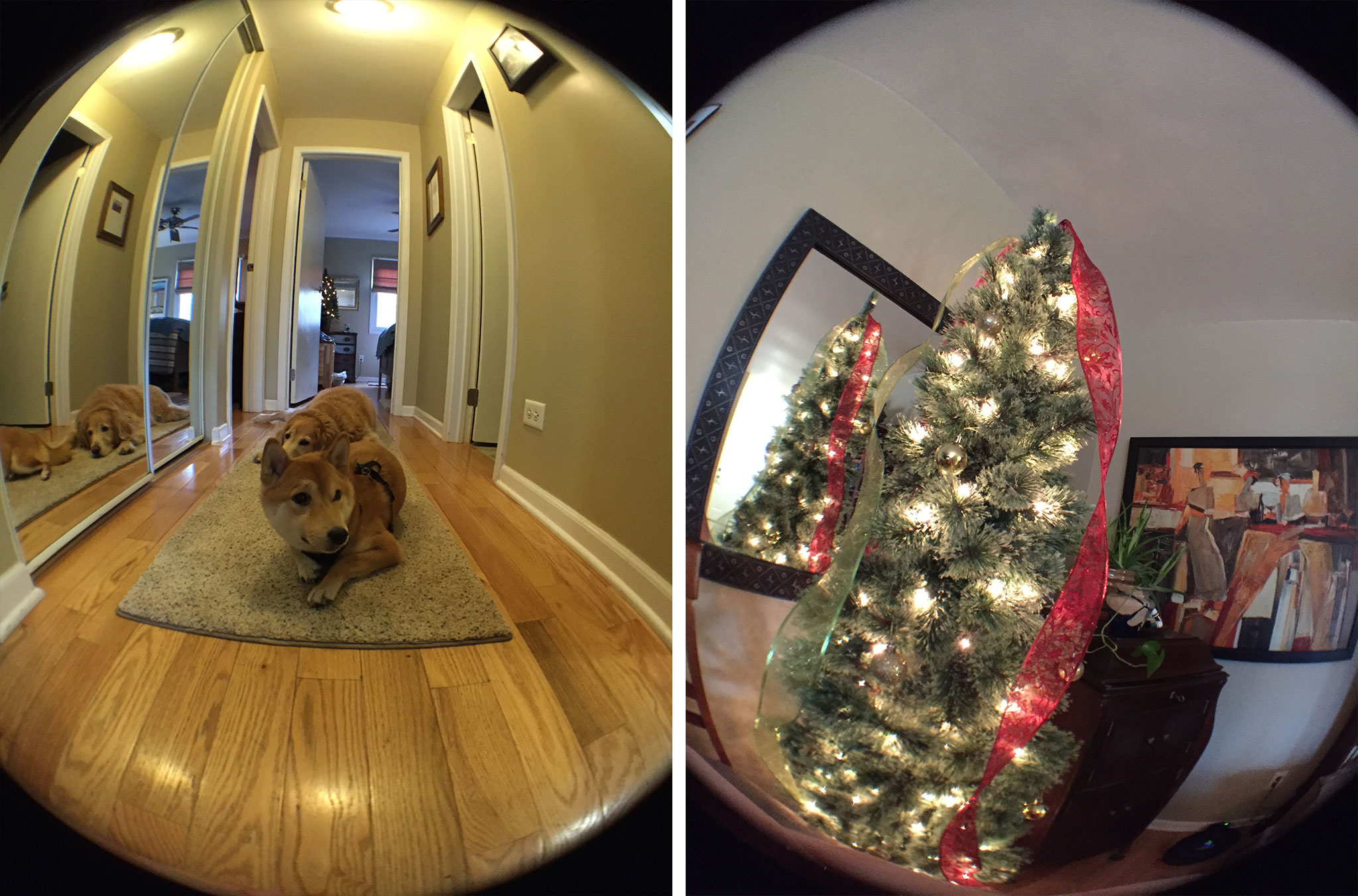 Olloclip for iPhone 6 and iPhone 6 Plus review