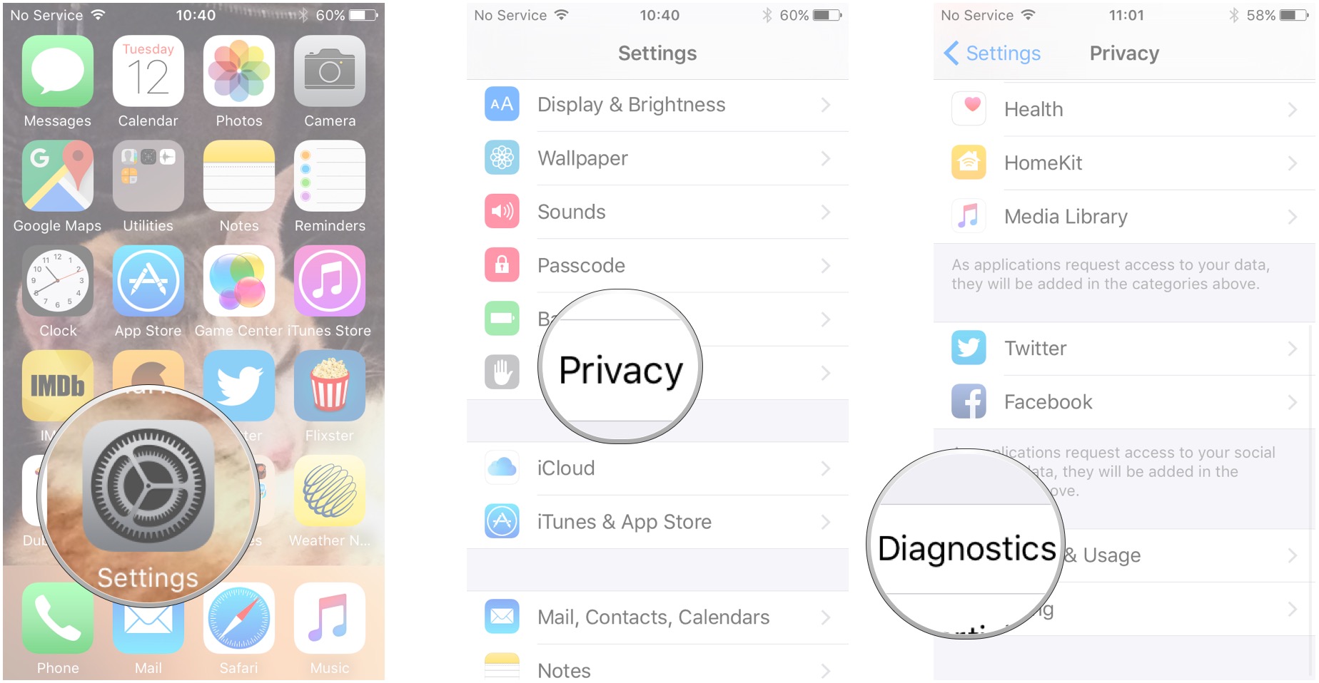 Launch the Settings app, tap Privacy, tap Diagnostics & Usage