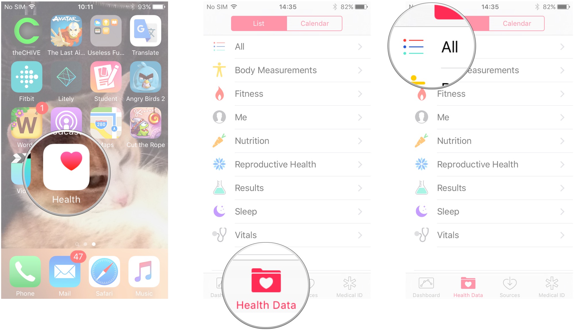 Launch the Health app. Tap Health Data. Tap All.