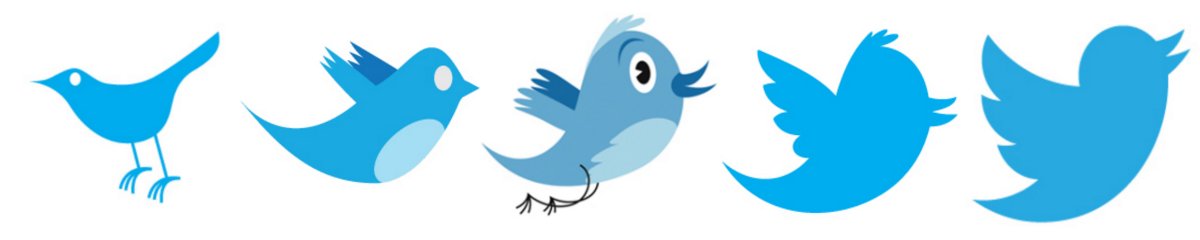 Image result for twitter logo evolution