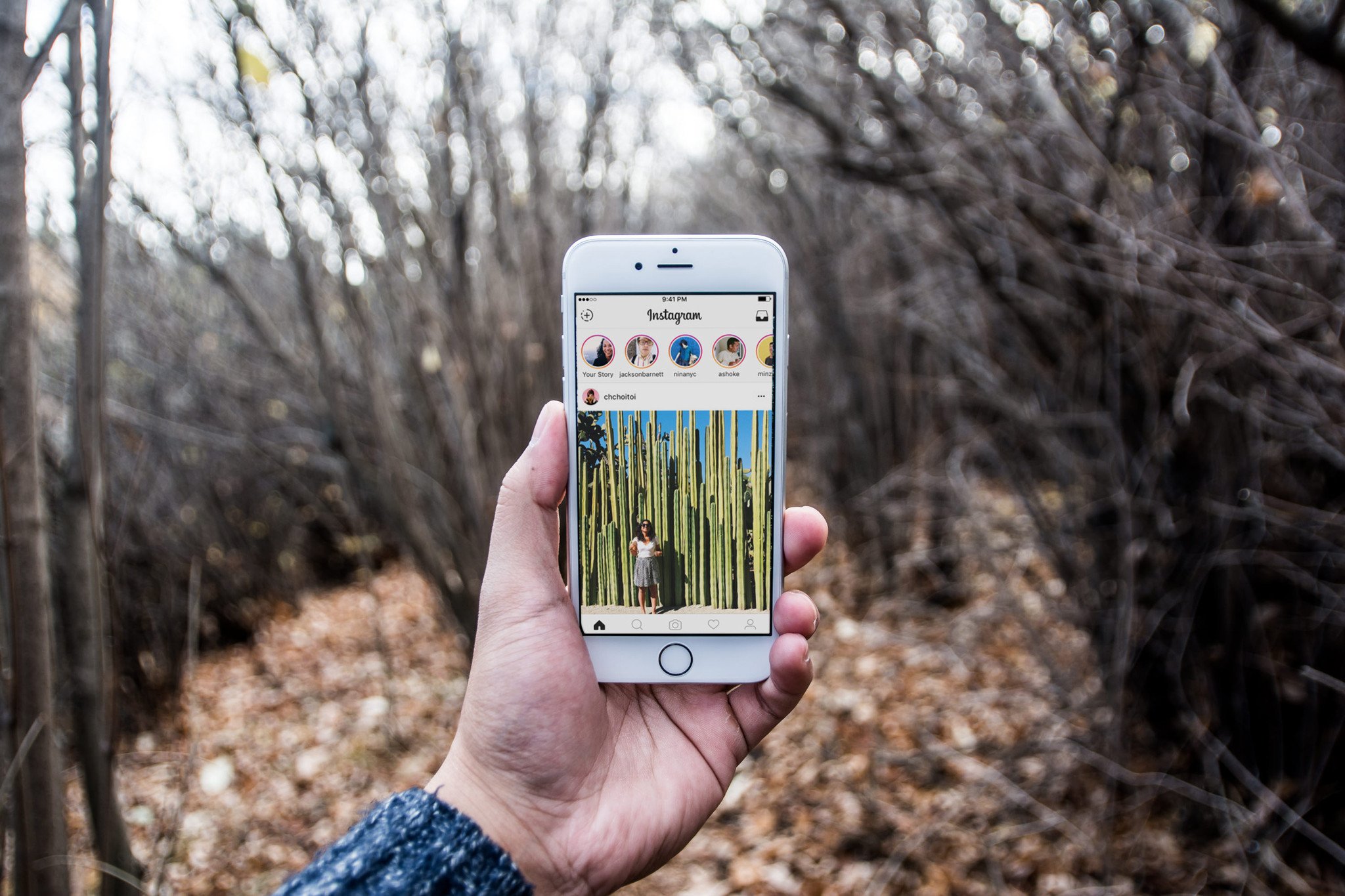 A hand holds an iPhone in a wooded area with the Instagram app open on the screen