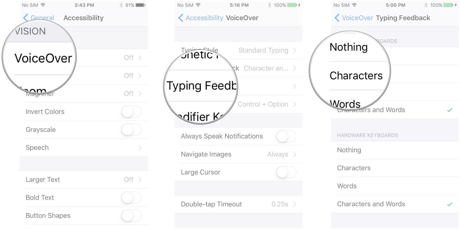 Tap VoiceOver, tap Typing Feedback, tap and option under each type of keyboard