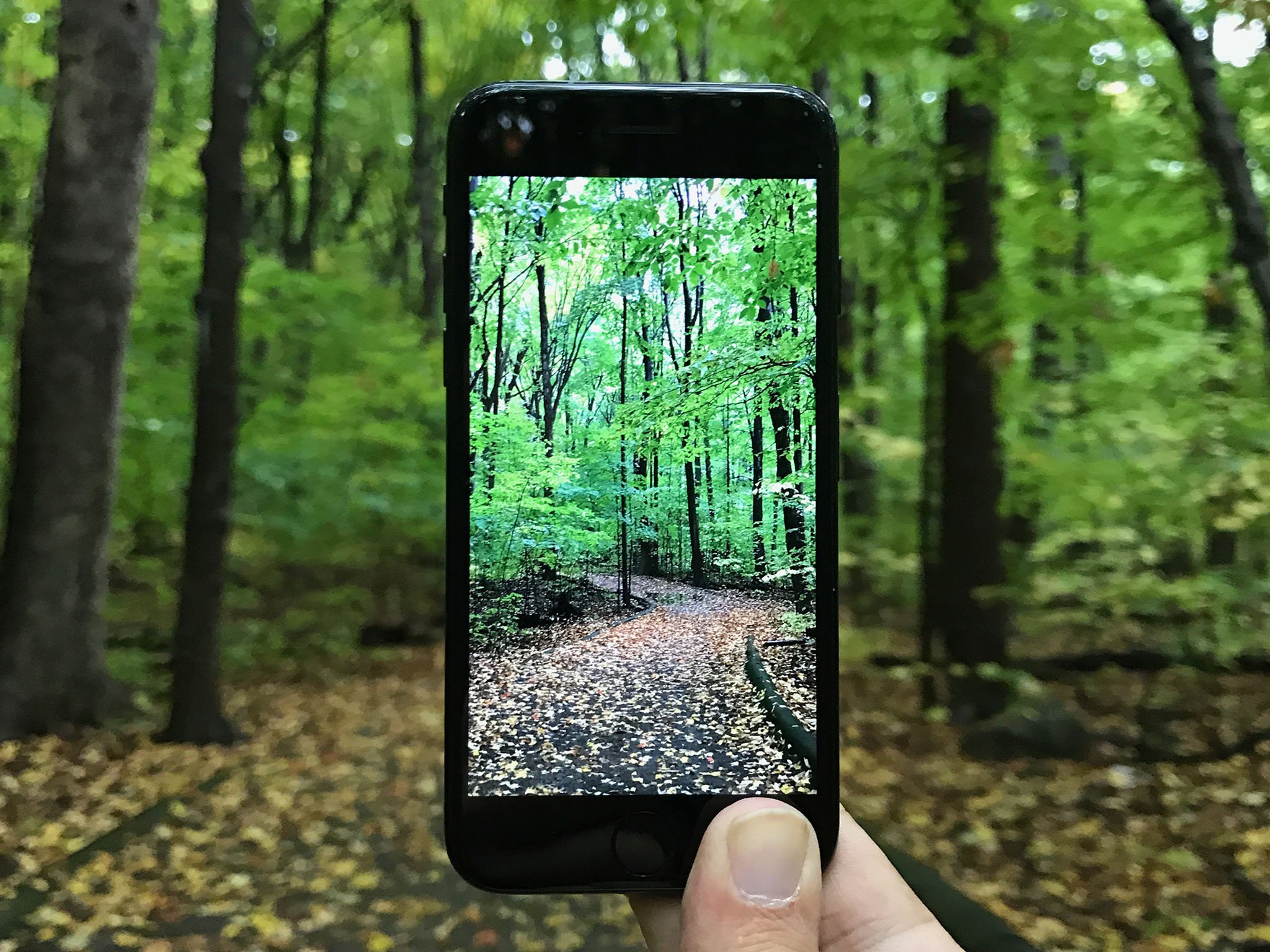 Camera App: The Ultimate Guide | iMore