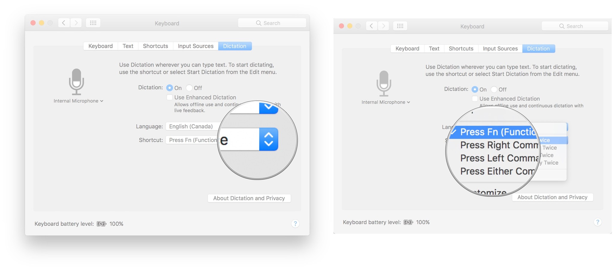 Best dictation software for mac