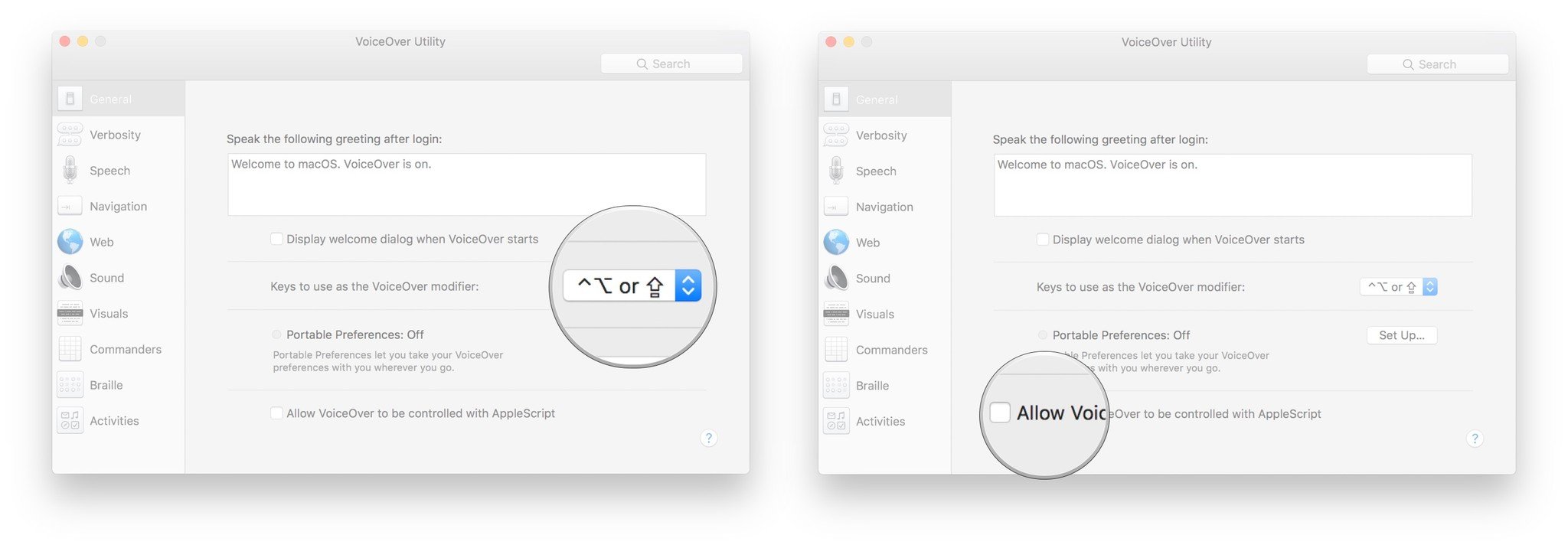 Щелкните раскрывающееся меню, чтобы выбрать клавиши-модификаторы, установите флажок, чтобы разрешить управление VoiceOver с помощью AppleScript.