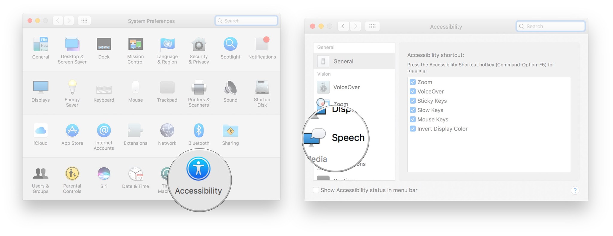 Click Accessibility, click Speech