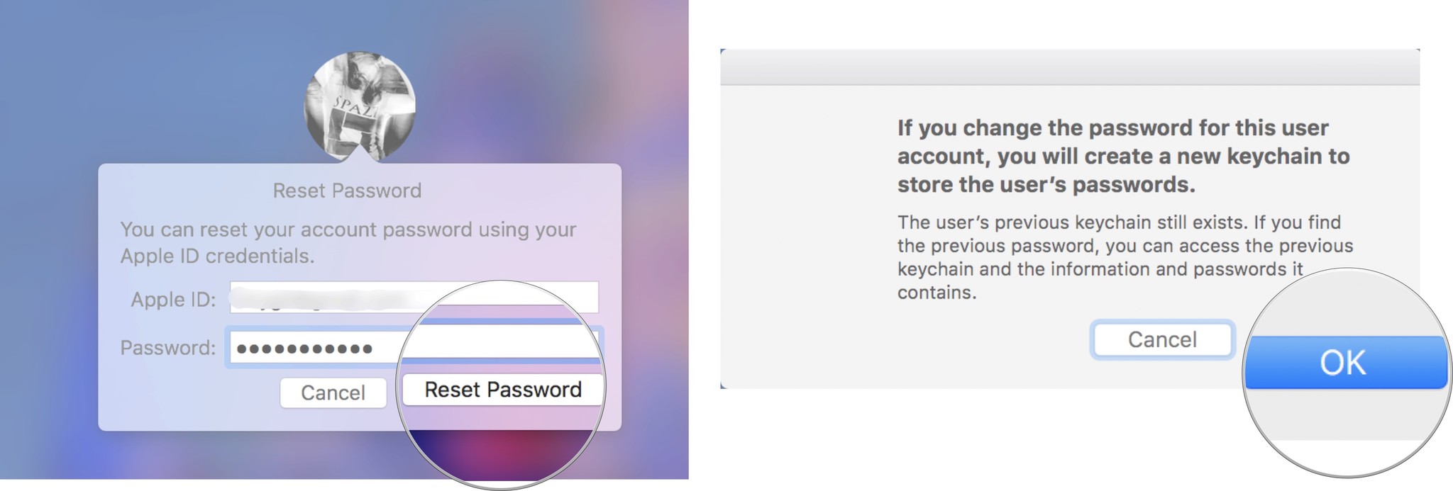 Click reset password, then click ok