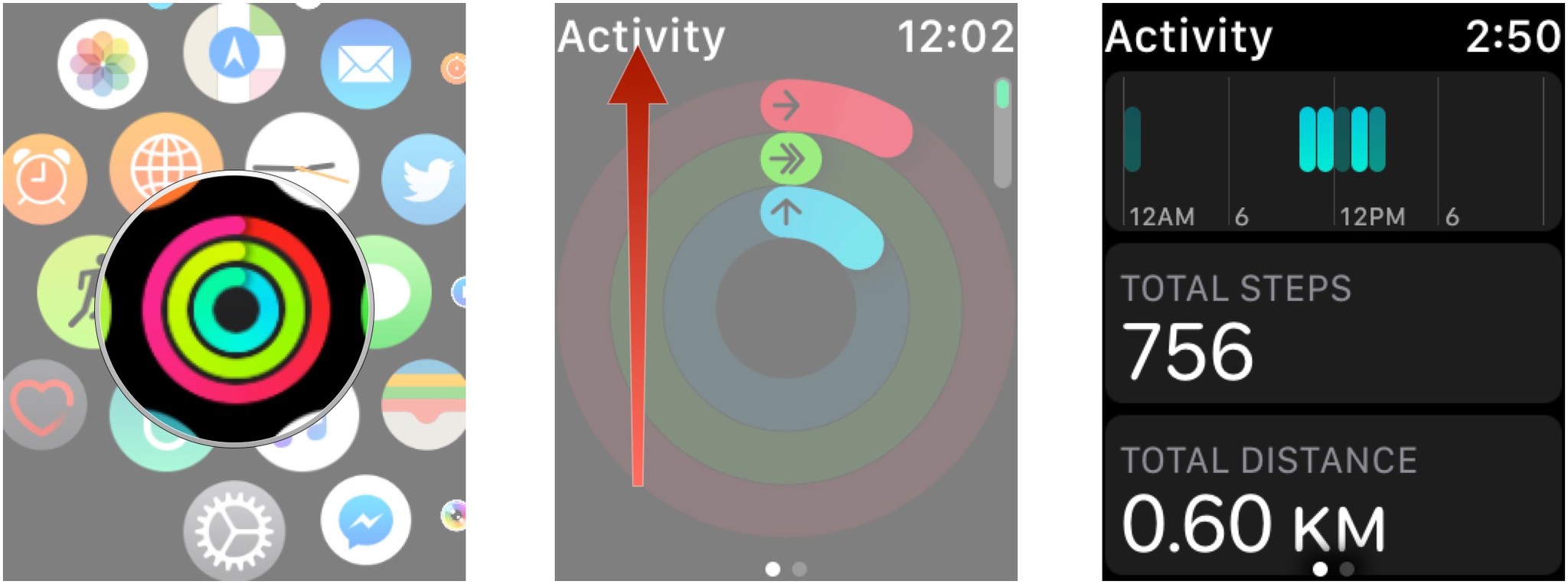 Launch the Activity app and then scroll down to the bottom.