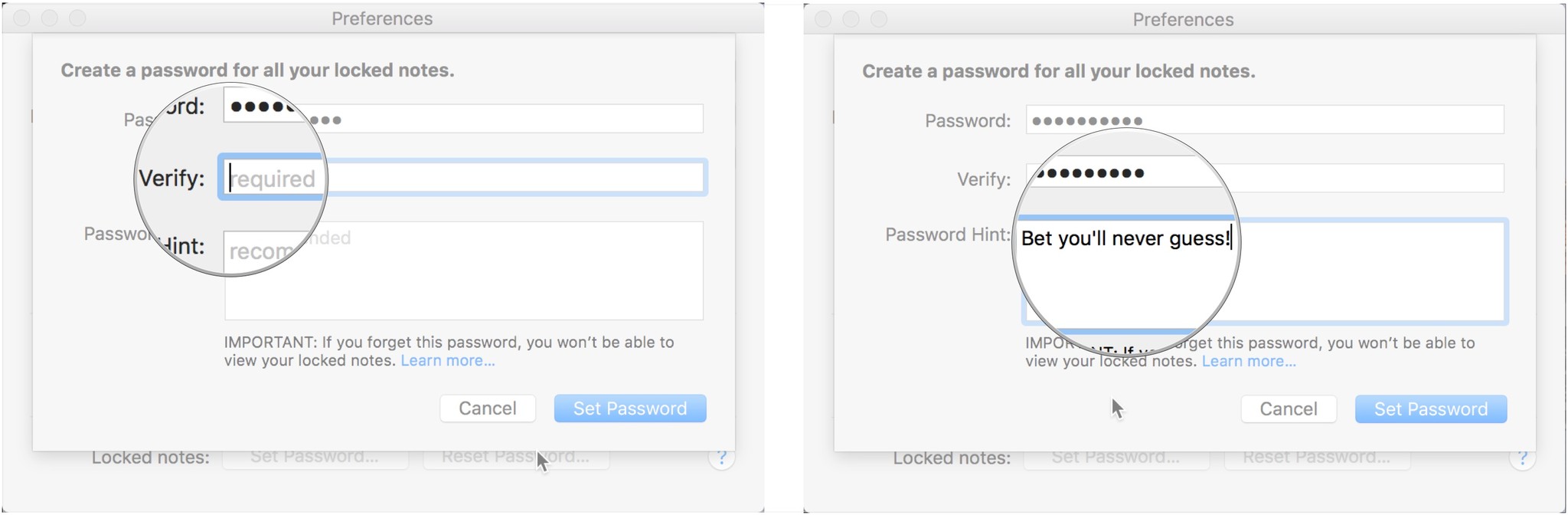 Verify password, leave a hint