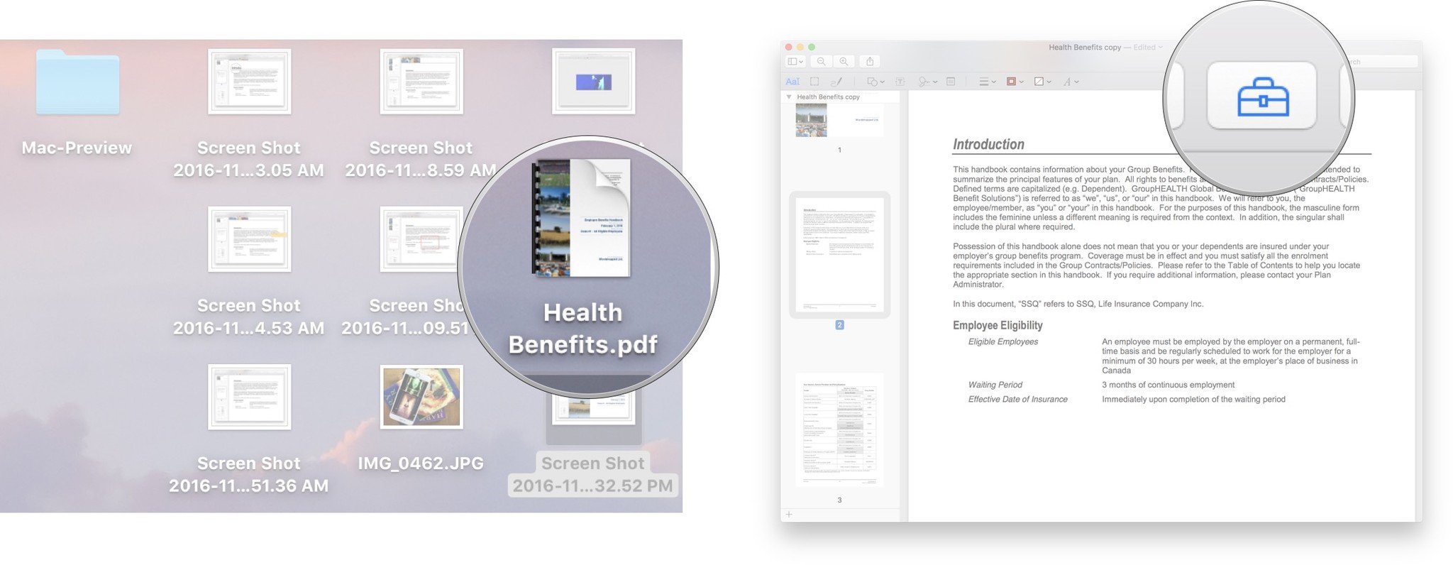 Mac preview user manual pdf