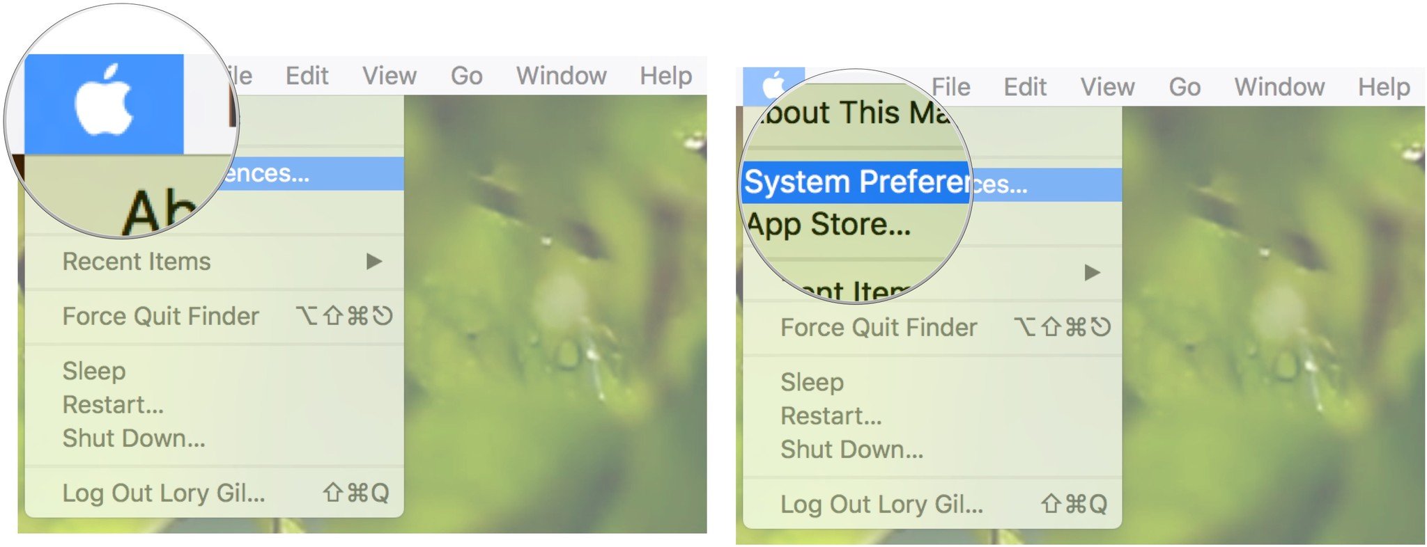 Click the Apple menu, then click System Preferences