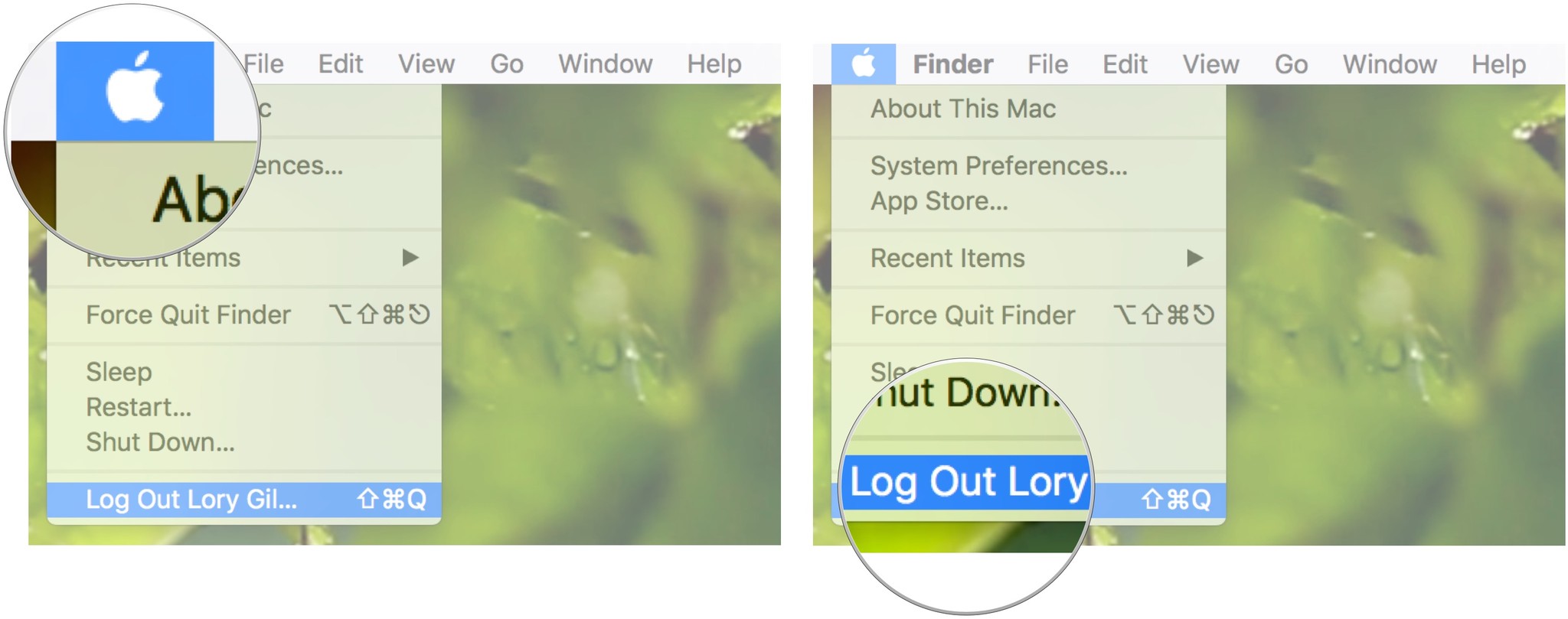 Click on the Apple menu, then select Log Out