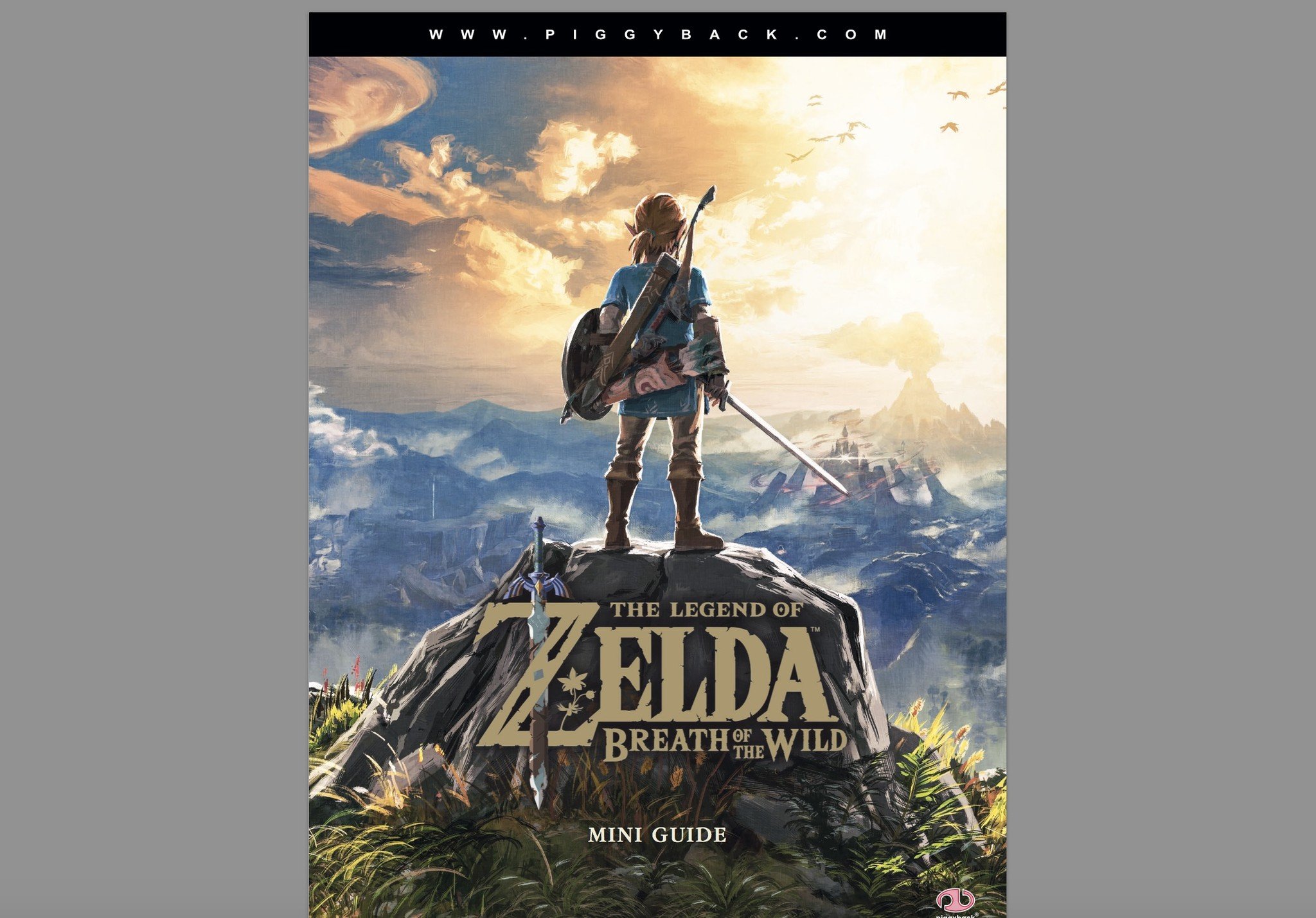 The Legend of Zelda: Breath of the Wild game guide