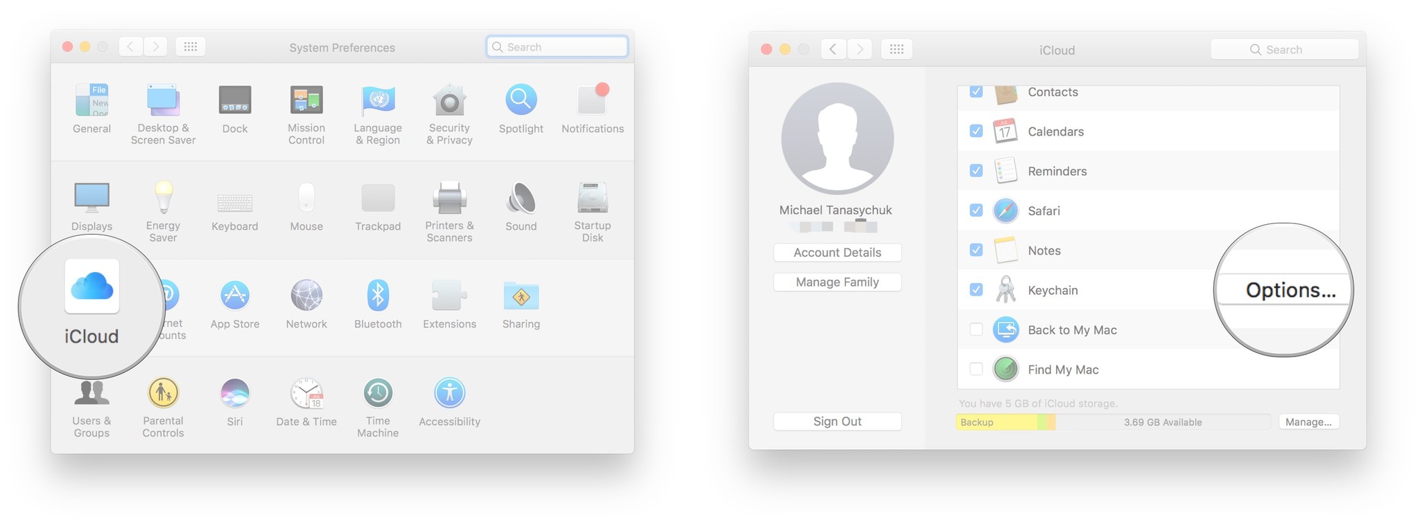 Launch System Preferences, click iCloud, click Options next to Keychain