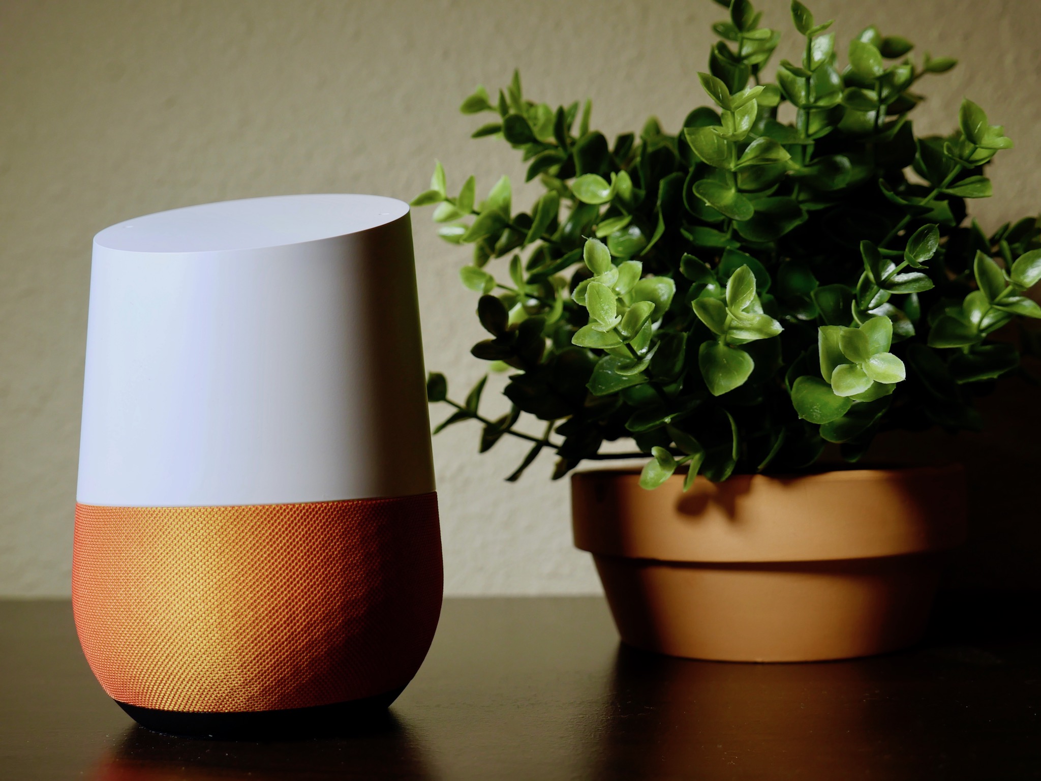 A Google Home smart speaker sits beside a succulent plant in a stucco pot