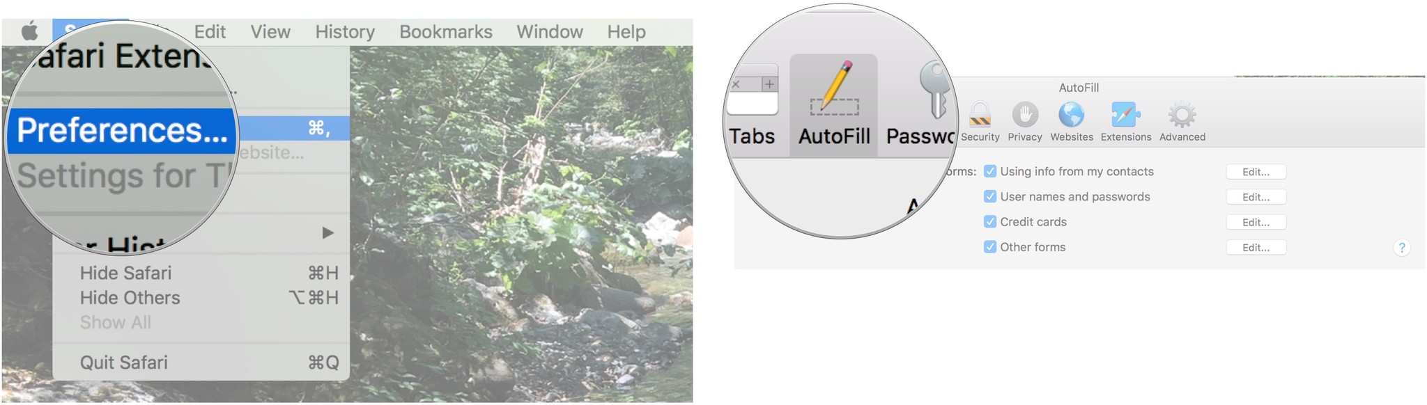 Select Preferences from the Safari app menu, then select Autofill